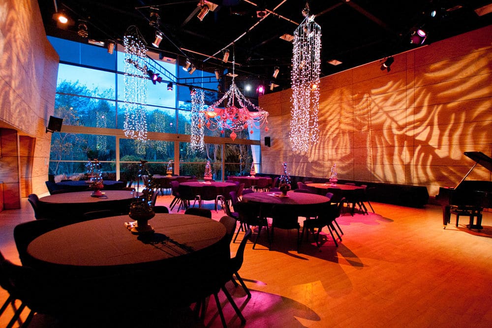 Gallagher Academy of Performing Arts - Te Whare Tāpere Iti