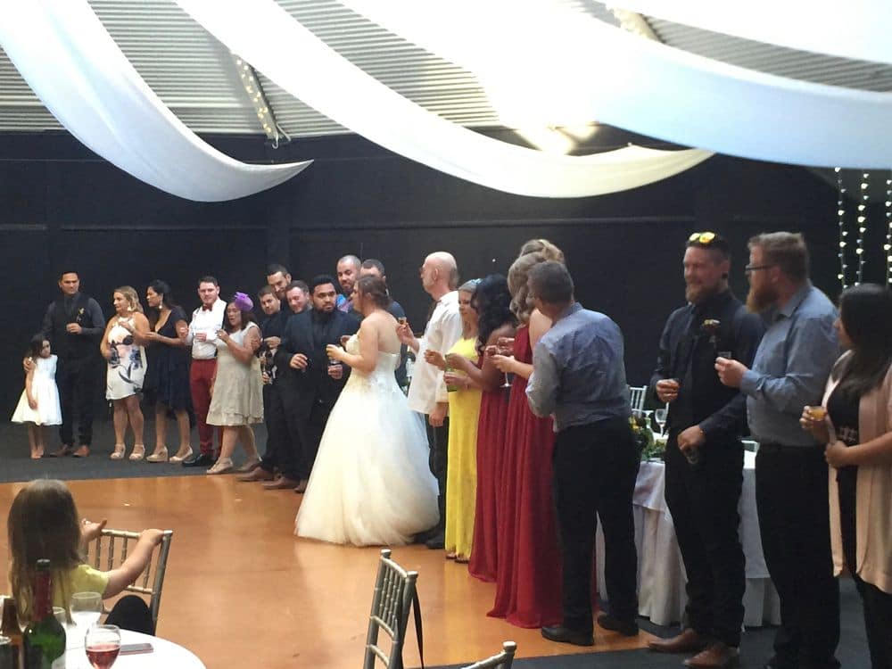 Hamilton Gardens Pavilion - Central Court - Wedding Party Toasting Friends and Family in the