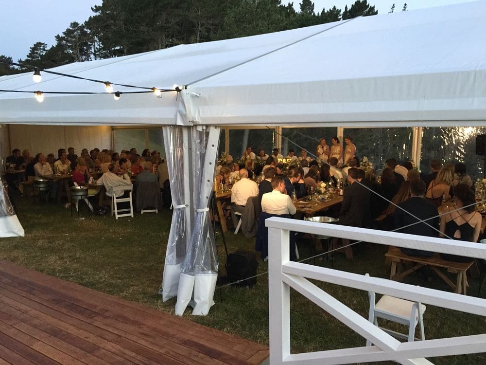 Orua Beach House - Wedding guests in Marquee