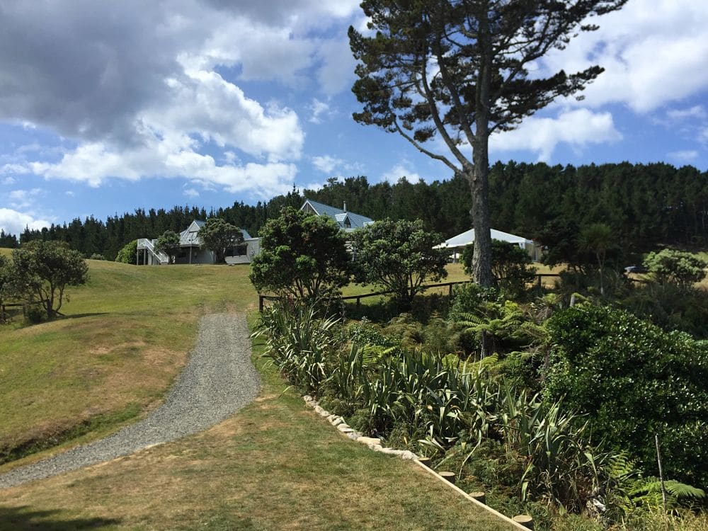 Orua Beach House - Driveway down to beach landing